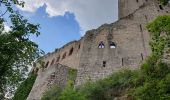 Tocht Stappen Dambach-la-Ville - Dambach-la-Ville : Circuit des trois châteaux - Photo 18