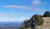 Trail Walking Mazaugues - Plateau d'Agnis, au dessus de Mazaugues - Photo 11