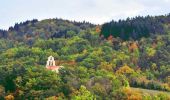 Tocht Stappen Jumeaux - Jumeaux_St_Jean - Photo 1