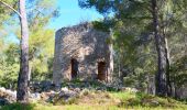 Randonnée Marche Bandol - Tour du golf de la frégate (Version Courte) - Photo 10