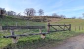 Trail Walking Theux - tillot . hodbomont . mont . wisselez . tillot - Photo 12