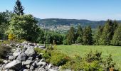Trail Walking Le Tholy - sentier du blaireau jusqu'en Ecosse - Photo 6