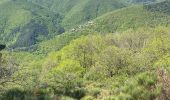 Tour Wandern Gravières - Serre de Barre - Photo 5