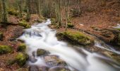 Tour Zu Fuß Canencia - Senda del Arroyo del Sestil del Maíllo y de la Ladera de Mojonavalle - Photo 2