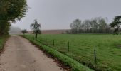 Trail Walking Mettet - Mettet 141122 - Photo 13