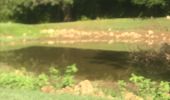 Trail Walking Sainte-Anne - Modette Caraque  - Photo 1
