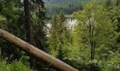 Tocht Stappen Le Valtin - tanet lac vert le col du tanet - Photo 5