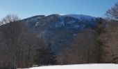 Trail Walking Sewen - Lac d'Alfed et sa cascade - tour au pied du Ballon d'Alsace - Photo 14