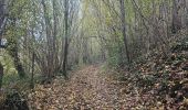 Tocht Noords wandelen Blegny - Petit tour découverte de Cerexhe-heuseu - Photo 3