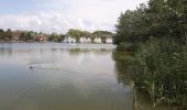 Tocht Stappen Fort-Mahon-Plage - Fort Mahon le parcour du Royon - Photo 1