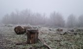 Randonnée Marche Septvaux - parcours prêt de septvaux  - Photo 1