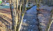 Trail Walking Bouillon - Rochehaut 110124 - Photo 2