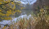 Trail Walking Namur - Wepion 211123 - Photo 16