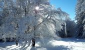 Randonnée Raquettes à neige Lans-en-Vercors - Circuit les Aigaux / Charande - Photo 2