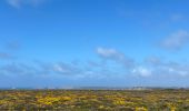 Tour Wandern Crozon - Tours Plage de Goulien  pointe de Dinan - Photo 20