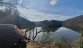 Tour Wandern Hohenfels - rando nadrin 14-04-2022 - Photo 2