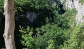 Trail Walking Oppedette - 84-gorges_oppedette_7km240m - Photo 12