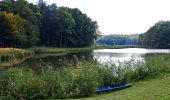 Tour Zu Fuß Siehdichum - Schlaubetal-Wanderweg - Photo 7