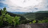 Randonnée A pied la Vall de Bianya - Via Romana del Capsacosta des del Pas dels Traginets - Photo 4