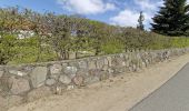 Tour Zu Fuß Schafflund - Durch das Urstromtal der Wallsbek - Photo 4