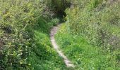 Tour Wandern Clermont-Ferrand - PUY DE CHANTURGUE - Photo 14