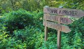 Trail Walking Bouillon - Rochehaut 051024 - Photo 16