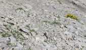 Randonnée Marche Uvernet-Fours - LES LACS DE LA CAYOLLE - Photo 15