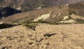 Tour Wandern Teyssières - Le Cougoir - Photo 1