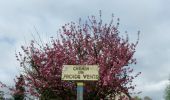 Tour Wandern Saint-Pierre-des-Fleurs - 20240409-StPierre des Fleurs Cool - Photo 14
