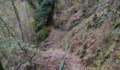 Tocht Stappen Bouillon - Laddertjeswandeling-Poupehan-Cretes de Frahan - Photo 11