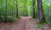 Trail Walking Villedômer - Villedômer - Le sentier des Bois - 22.4km 265m 5h05 (25mn) - 2019 08 10 - Photo 6