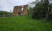 Trail Walking Beuil - Les Cluots par les Gorges du Cians supérieur - Photo 2