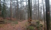 Tocht Stappen Stavelot - stavelot . somagne . henoumont . la bergerie . stavelot  - Photo 2