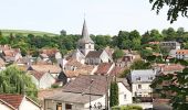 Tocht Te voet Beaunotte - Circuit des Cigognes Noires - Photo 6