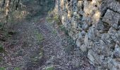 Trail Walking Malemort-du-Comtat - Traversée Malemort Mormoiron - Photo 4