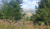 Trail Walking Besse-et-Saint-Anastaise - Le tour du Lac Pavin et montée au Puy Montchal - Photo 20