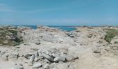 Randonnée Marche Trébeurden - PLEUMEUR-BODOU (l'île Grande) - Photo 6