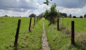 Tocht Stappen Pepinster - La promenade de Tribomont  - Photo 14