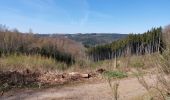 Trail Walking Malmedy - Xhoffray 230421 - Photo 5