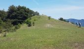 Tocht Stappen Breil-sur-Roya - col de brouis - Photo 2