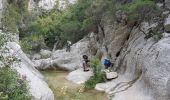 Randonnée Marche Évenos - Gorge du Destel - Photo 9