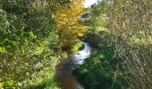 Tour Zu Fuß Embrach - Embrach Oberdorf - Brueder - Photo 4