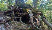 Tocht Stappen Saint-Geniez - S GENIEZ . ABROS . LA FOREST . COL DE MOUNIS . O L M - Photo 6