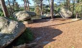 Randonnée Marche Fontainebleau - Fontainebleau sentier Denecourt 3 - Photo 9