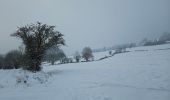 Trail Walking Soumagne - ❄️⛄️ Soiron - Photo 6