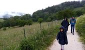 Tour Wandern Saint-Nizier-du-Moucherotte - Le bois de la Plagne- St Nizier du Moucherotte - Photo 19