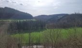 Tour Wandern La Roche-en-Ardenne - rando samrée 19-03-2024 - Photo 12