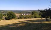 Excursión Senderismo Anhée - Bois de la Croix de Banse et Bois de Ronquière - Photo 4