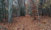 Trail Walking Cruis - cruis.la chapelle Notre-Dame  - Photo 2