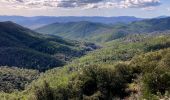 Randonnée Marche Garéoult - L'Amarron depuis Garéoult - Photo 4